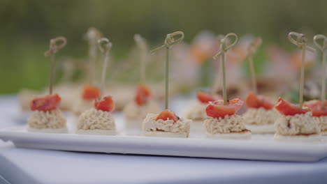 delicious-appetizers-on-table-on-finger-buffet-in-open-air-event-closeup-view-of-plate-with-tasty-snacks